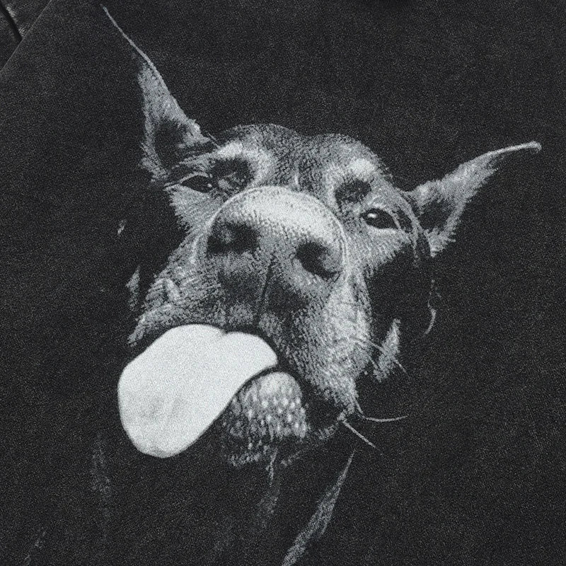 S5a66e01f4bc44535893becc82f9a5de9d